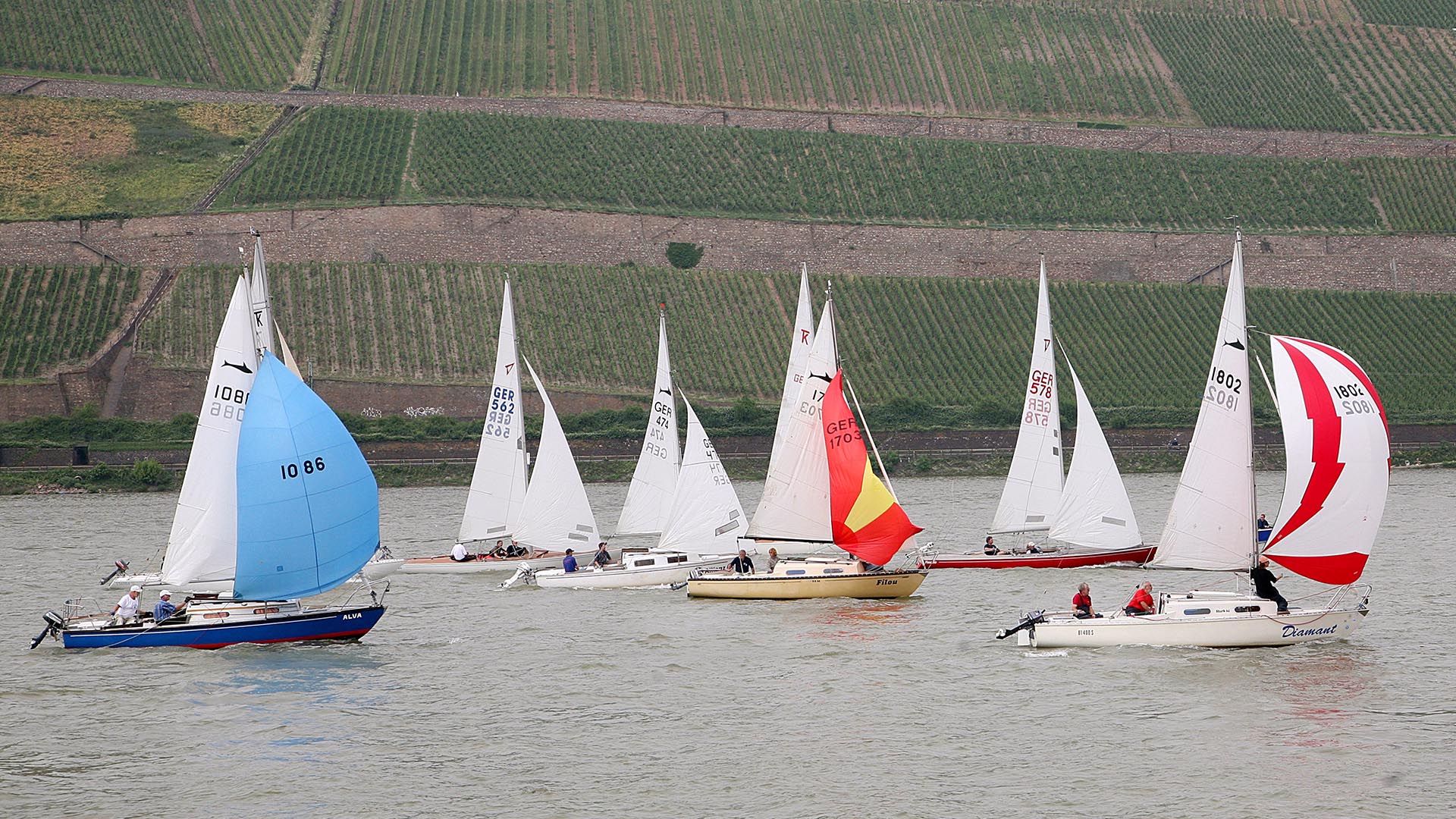 Regatta Hart am Binger Loch