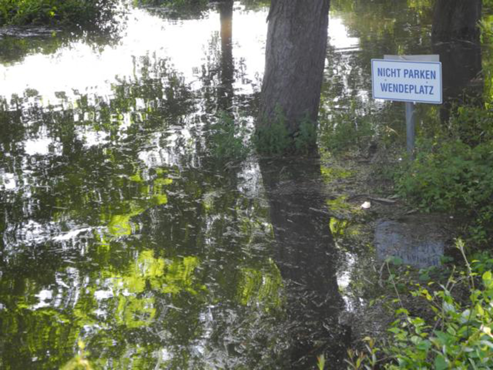 Wer könnte denn hier noch parken?